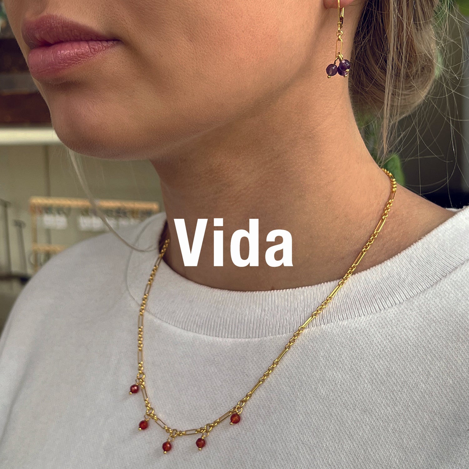 Vida