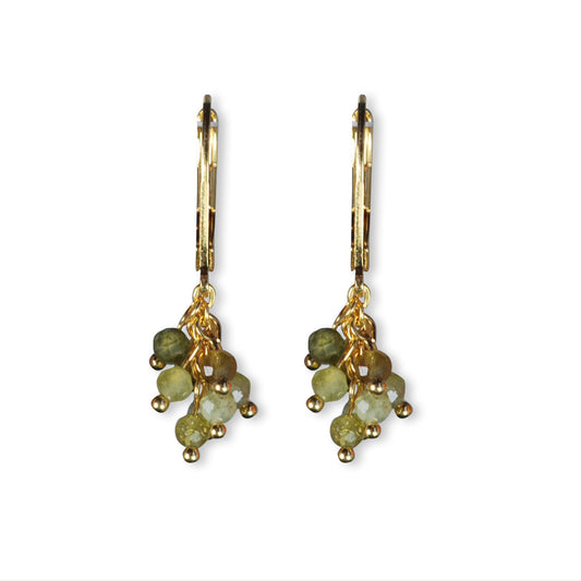 Oorbellen gold plated met halfedelstenen